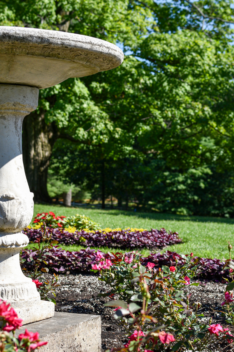 Bahçede Bahar Hazırlığı Zamanı 11 10 1