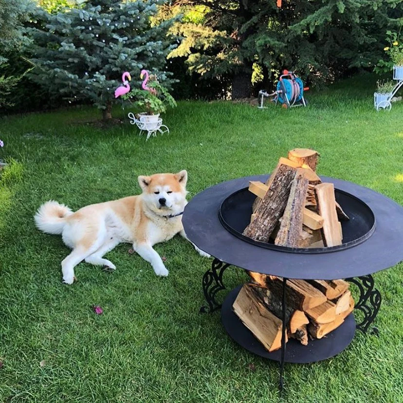 Ateş Çukurları – Bahçe Şömineleri: Bahçenize Sıcaklık ve Estetik Katmanın En Şık Yolu 1 ates-cukuru-bahce-sominesi